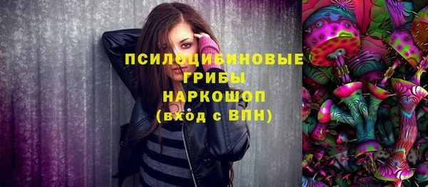 прущие крисы Абаза