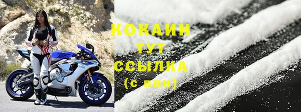 прущие крисы Абаза