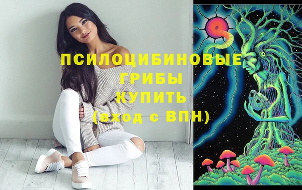 дмт Абинск