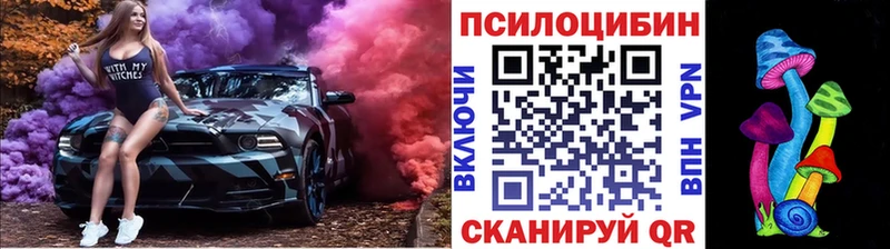 Галлюциногенные грибы Cubensis ОМГ ОМГ tor Железноводск закладки