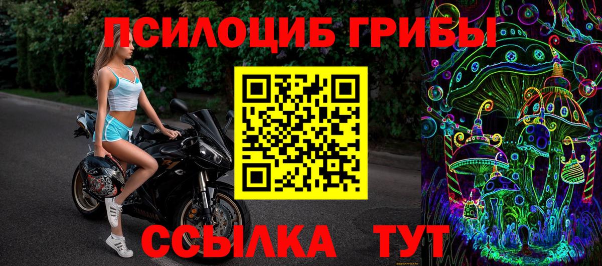 Псилоцибиновые грибы прущие грибы  купить   Железноводск  Вход с VPN 